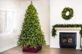 The Ultra-Lit Montagna Fir Tree (6ft to 8ft)