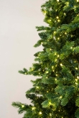 The Ultra-Lit Montagna Fir Tree (6ft to 8ft)