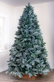 The Arbor Blue Pine Tree (6ft to 8ft)
