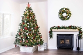 The 6ft Arbor Vitae Fir Tree And Storage Bag Bundle