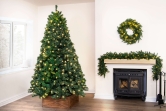 4ft Pre-lit Arbor Vitae Fir Tree