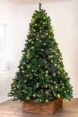 8ft Pre-lit Arbor Vitae Fir Tree