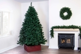 The 6ft Arbor Vitae Fir Tree