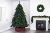 The 12ft Arbor Vitae Fir Tree