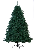 The 5ft Arbor Vitae Fir Tree