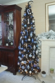 The 5ft Black Italian Pencilimo Tree