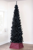 The Black Italian Pencilimo Tree