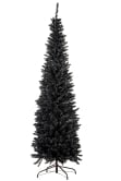 The Black Italian Pencilimo Tree