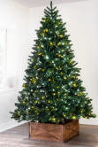 The 8ft Ultra Devonshire Fir Pre-lit with Warm White/White Colour change LEDs