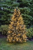 The 6.5ft Pre-lit Outdoor Woodland Pine Tree
