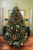 The 16ft Arbor Vitae Fir Tree