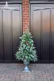The Outdoor Frosted Fir (3ft to 4ft)