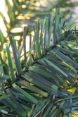 The 270cm Pre-lit Connectable Plain Garland