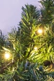 The 270cm Pre-lit Connectable Plain Garland