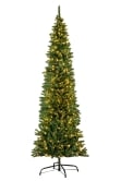 The Pre-lit 5ft Green Italian Pencilimo Tree
