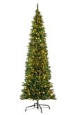 The Pre-Lit Green Italian Pencilimo Tree