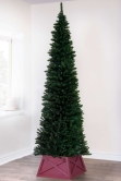 The 5ft Green Italian Pencilimo Tree