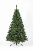 The 4ft Arbor Vitae Fir Half Tree