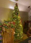 The 12ft Arbor Ultima Tree