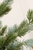 The 3ft Pre-lit Cairngorm Pine Potted Tree (Indoor/Outdoor)