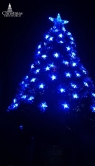 The Black Blue Star Fibre Optic Tree