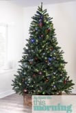 The Ultra Devonshire Fir Pre-lit with Warm White/Multicoloured LEDs (4ft to 12ft)