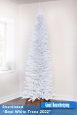 The 5ft White Italian Pencilimo Tree