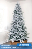 The Snowy Alpine Tree (4ft to 8ft)