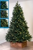 The Ultra Devonshire Fir Pre-lit with Warm White/Multicoloured Colour change LEDs (4ft to 12ft)