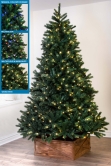 The Ultra Devonshire Fir Pre-lit with Warm White/Multicoloured LEDs (4ft to 12ft)