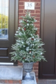 The Outdoor Frosted Fir (3ft to 4ft)