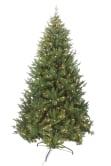 The Vivace Pine Tree (4ft-8ft)