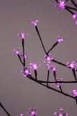 The 6ft Pink LED Blossom Tree