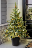 The 4ft Pre-lit Cairngorm Pine Potted Tree (Indoor/Outdoor)