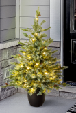 The 3ft Pre-lit Cairngorm Pine Potted Tree (Indoor/Outdoor)