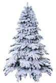 The 5ft Snow White Fir Tree