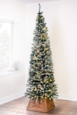 The Pre-lit Snowy Pencil Tree (6ft-7ft)