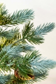 The 3ft Pre-lit Cairngorm Pine Potted Tree (Indoor/Outdoor)