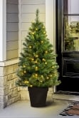 The 4ft Pre-lit Majestic Dew Pine Potted Tree (Indoor/Outdoor)