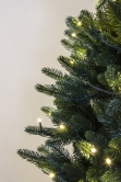 The 7ft Indoor/Outdoor Pre-lit Ultra Slim Mixed Pine