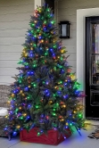 200cm Pre-lit Outdoor Woodland Pine Tree - Multicolour