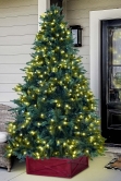 The 8ft Pre-lit Outdoor Woodland Pine Tree