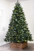 The 7ft Ultra Devonshire Fir Pre-lit with Warm White/White Colour change LEDs