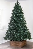 The 6ft Ultra Devonshire Fir Pre-lit with Warm White/White Colour change LEDs