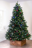 The 10ft Ultra Devonshire Fir Pre-lit with Warm White/Multicoloured Colour change LEDs
