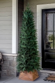 The Indoor/Outdoor Ultra Slim Mixed Pine (6ft-8ft)