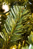 The 5ft Pre-lit Ultra Mountain Pine