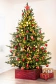The 288pc Red & Gold Full Heavy Coverage Bauble Set (9ft trees)