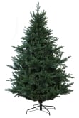 The Ultra Mountain Pine (4ft to 8ft)