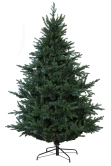 The Ultra Mountain Pine (4ft to 8ft)